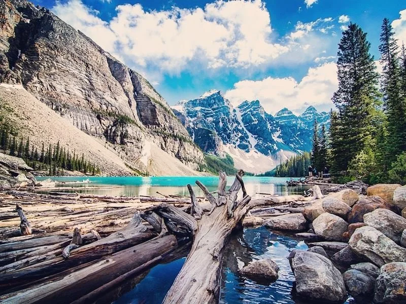 logs-at-moraine-lake-banff-national-park.jpg