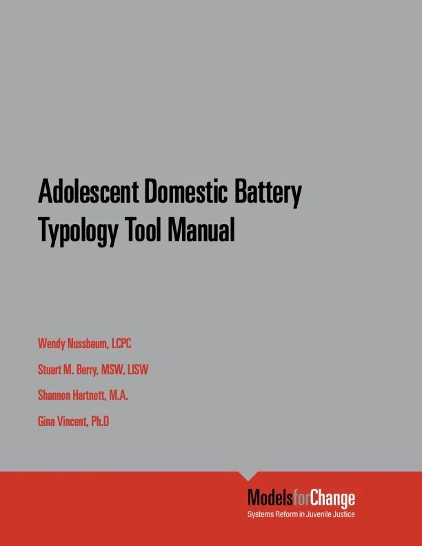 Adolescent Domestic Battery Typology Tool