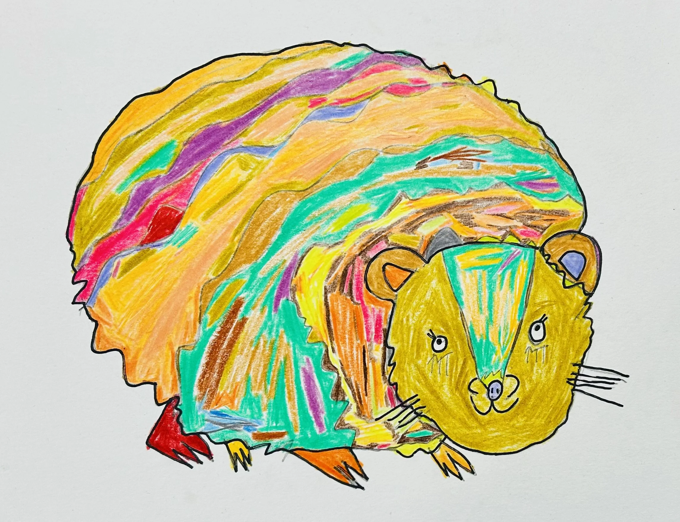 Colorful drawing of a porcupine with a rainbow-like pattern on its back and a lion's face, combining multiple animal features in a vibrant, abstract style.