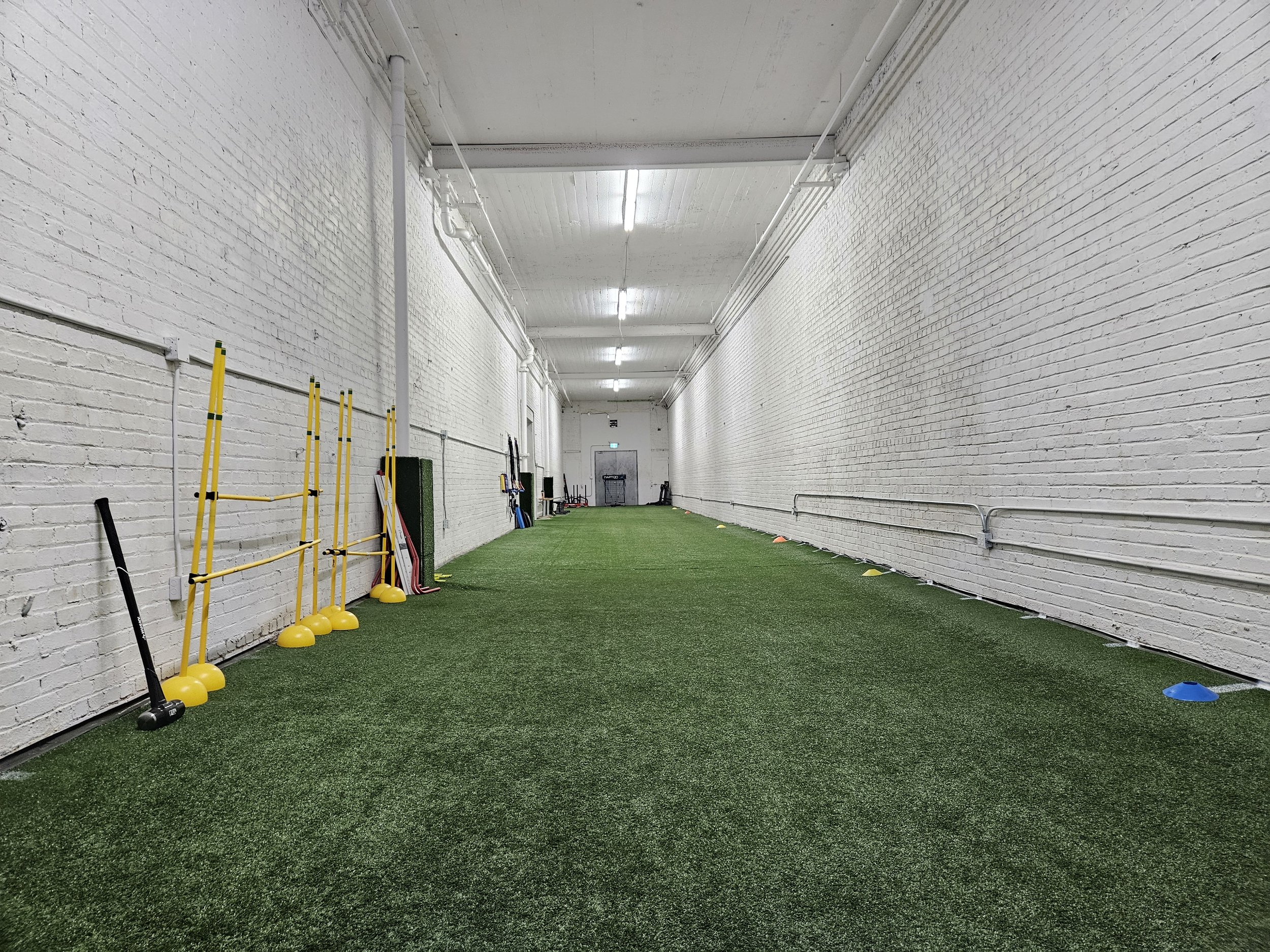 turf fond.jpg