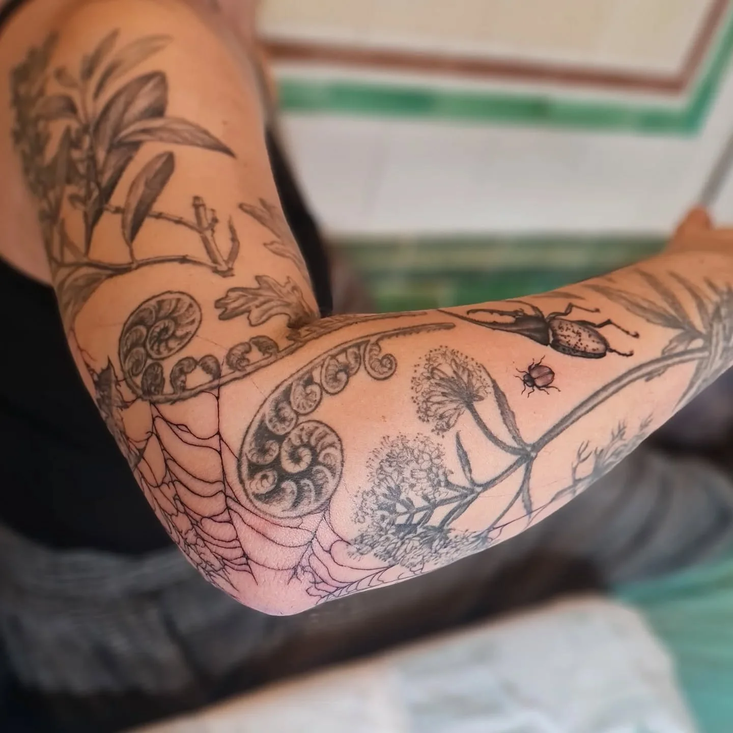 Been working on this botanical illustration inspired peice for a while.. some of these bits are a couple of years old I think but it's nearly full! Super interesting project.. these are mostly local medicinal and foragable plants and mushrooms. Thank