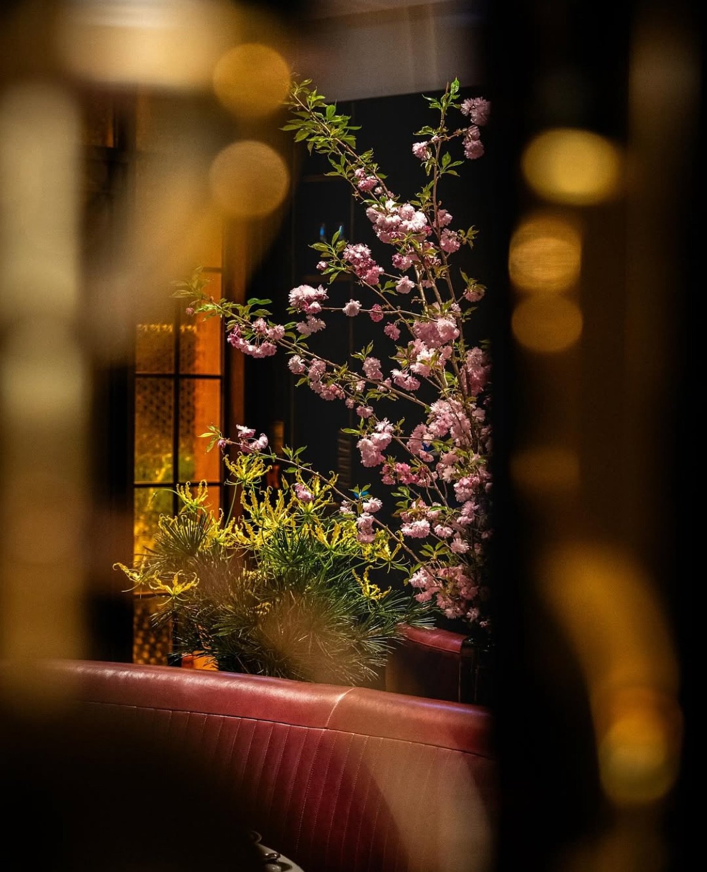 Floral installation at @sammarcosteak 

Photo via Shun Tang

#earthworkfloraldesign #supportsmallbusiness #smallbusiness#florals #floraldesign #instaflorist #instaflowers#flowersoninstagram #freshflorals #flowerstagram #blooms#bloomsofinstagram #bloo