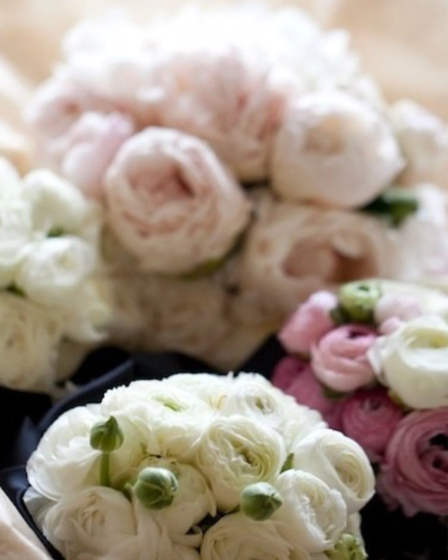 Weddings are made in the details&mdash;the way a space feels, how flowers move with light, and the emotion they carry. At Earthwork Floral Design, we approach each wedding with a deep sense of care, crafting floral pieces that feel both elevated and 