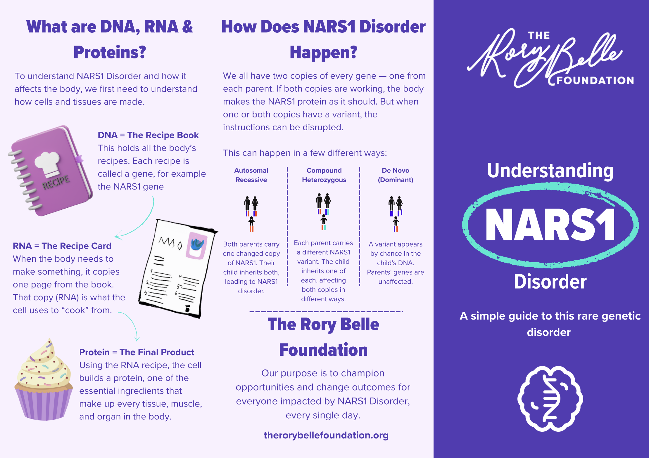 Introduction to NARS1 Disorder Leaflet