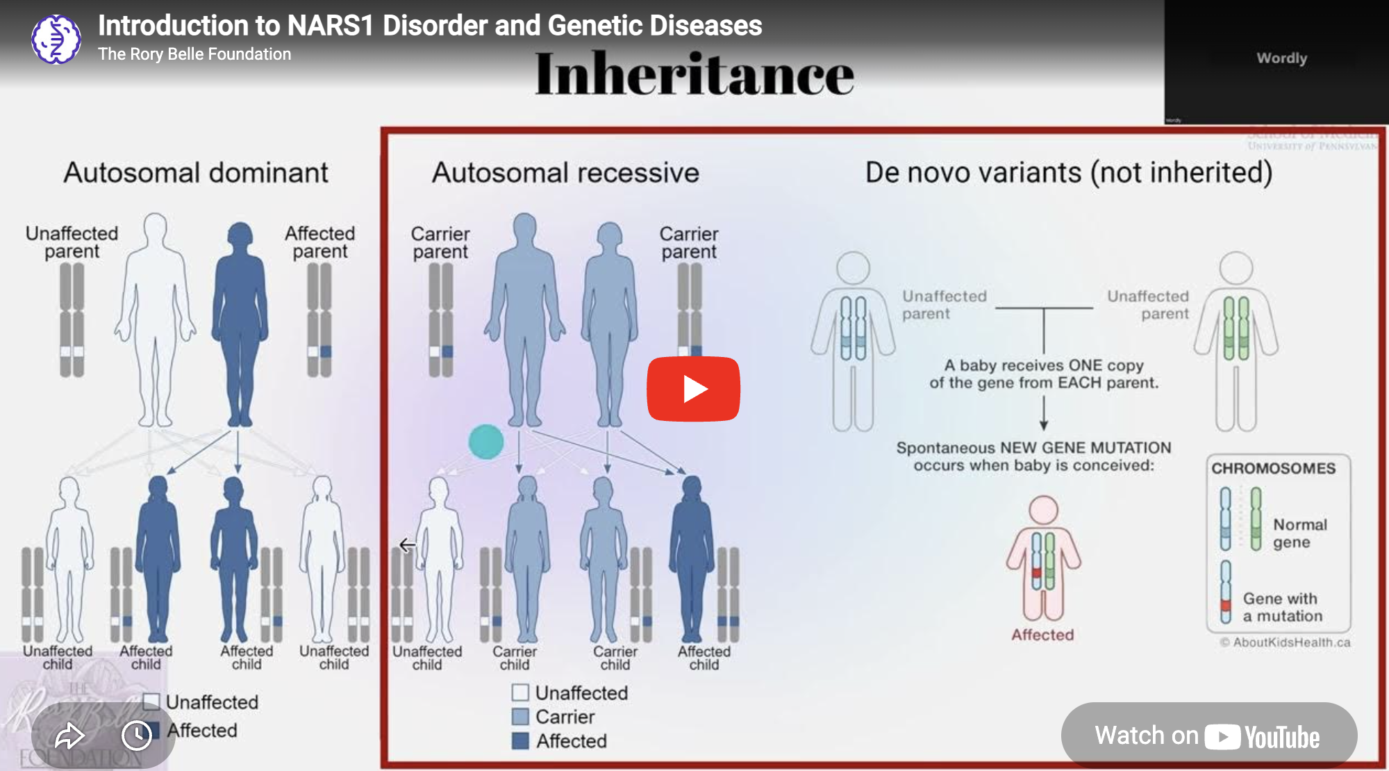 Video - Introduction to NARS1 Disorder and Genetic Diseases
