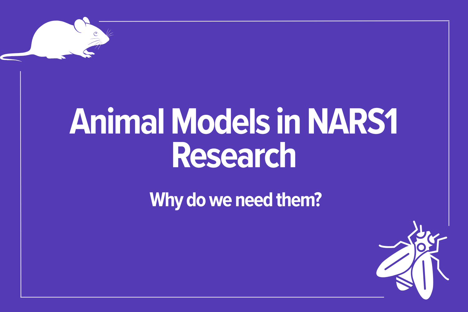 Why Animal Models Matter in NARS1 Research