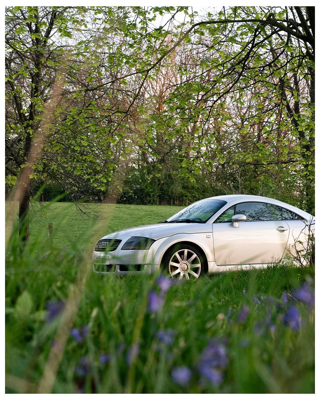 AUDI-TT8.jpg