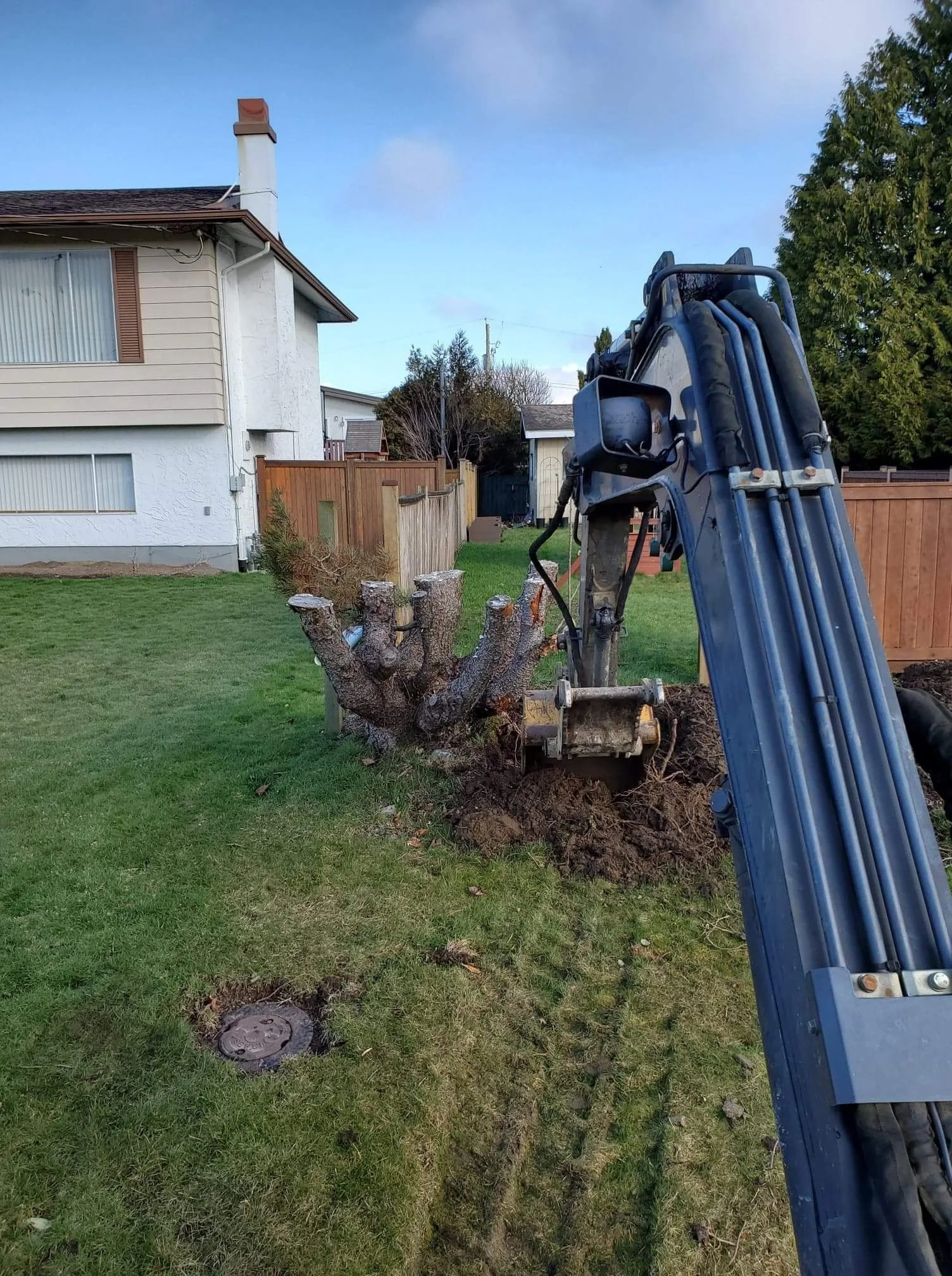 mini excavator digging trench on lawn