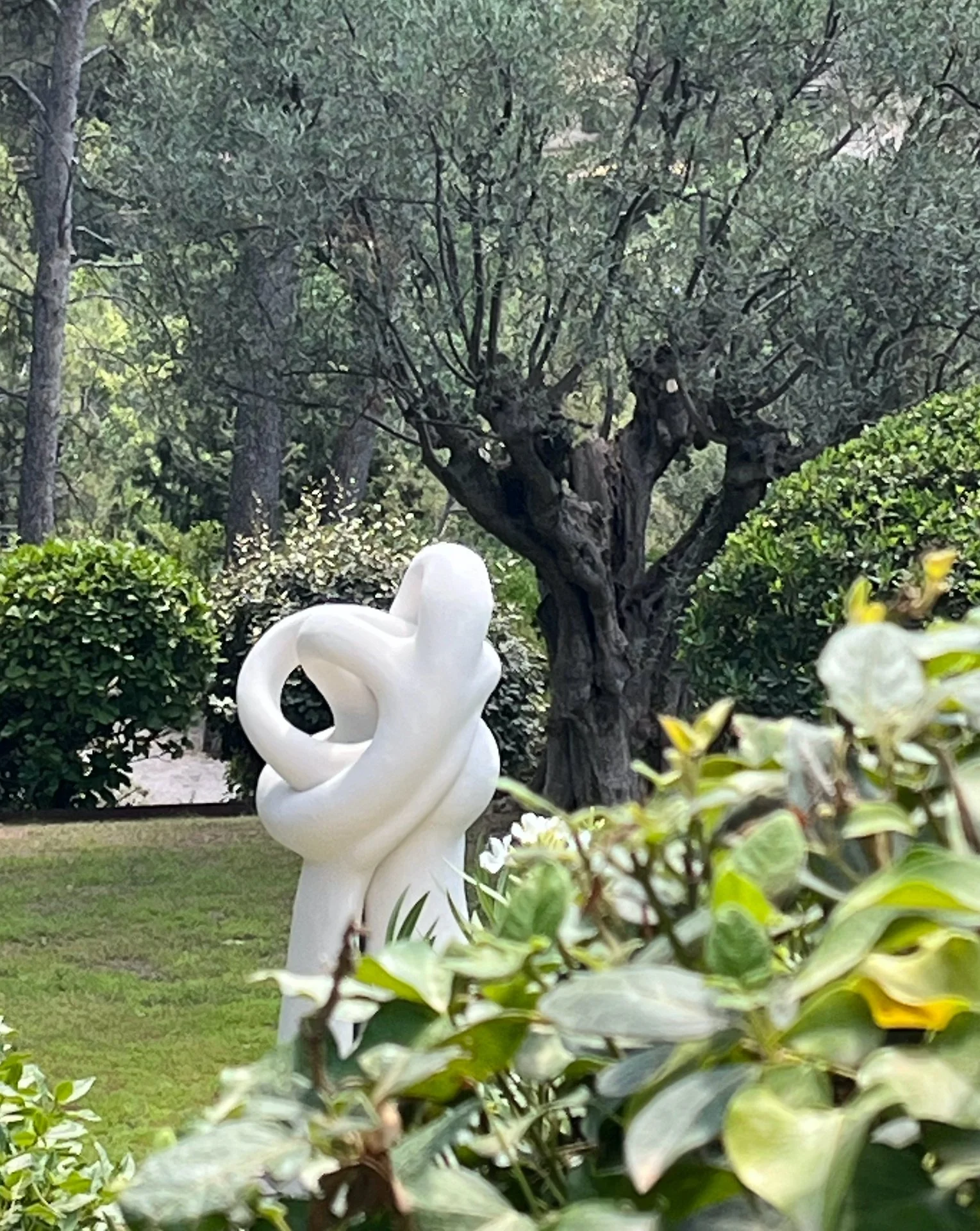 26 AWA garden view Olivier.jpeg