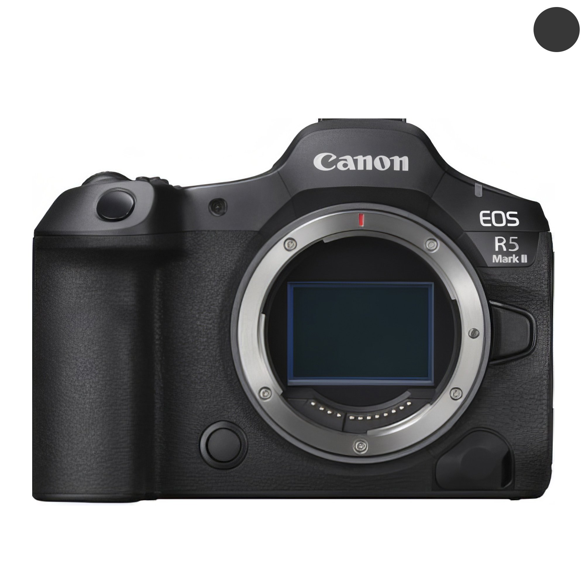 Canon R5 Mark II (€ 180)