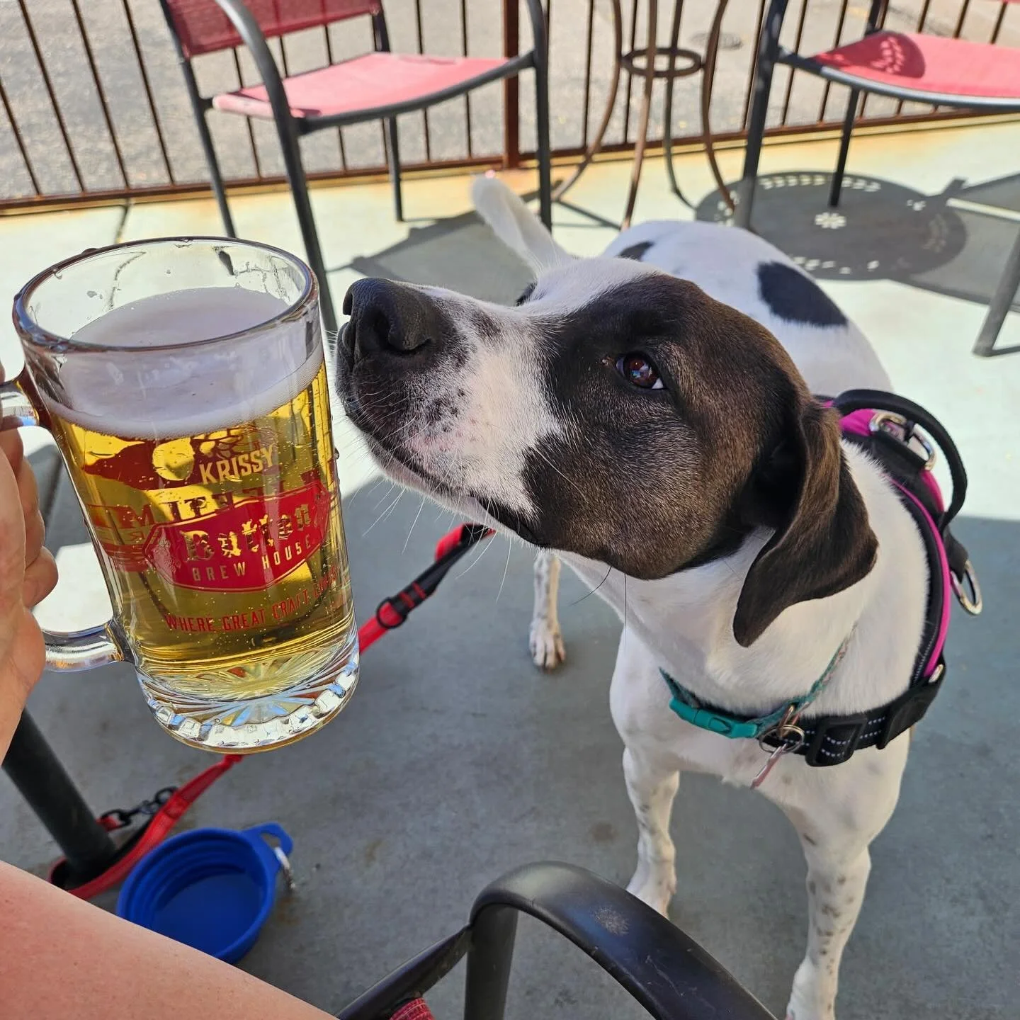 Love you @krissy_newton1979 !!! Thank you for you! XOXO