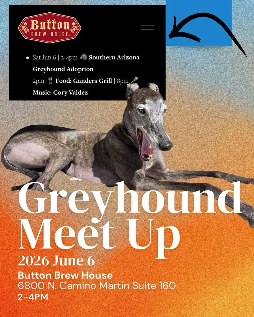 SoAz Greyhound Adoption Meet-Up at BBH

06.06 Sat Open 12-10pm | 12-5pm Hoppy Hour
2-4pm 🐾 SoAz Greyhound Adoption Meet-Up
2pm🍴Food: Ganders Grill | 7-8pm 🎤 Music: Cory Valdez

06.07 Sun Open 12-6pm
$2 off Micheladas
