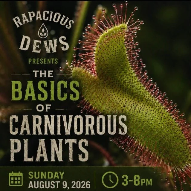Plants That Eat Bugs? Learn How This Sunday!

08.04 Tue Open 2-5pm
08.05 Wed Open 2-8pm

08.06 Thu Open 2-8pm
6pm 🎤 Music: Russ &amp; Lou

08.07 Fri Open 12-10pm
6pm 🎤 Music: Emmert &amp; Brown

08.08 Sat Open 12-10pm
6pm 🎤 Music: Psilobots

08.09
