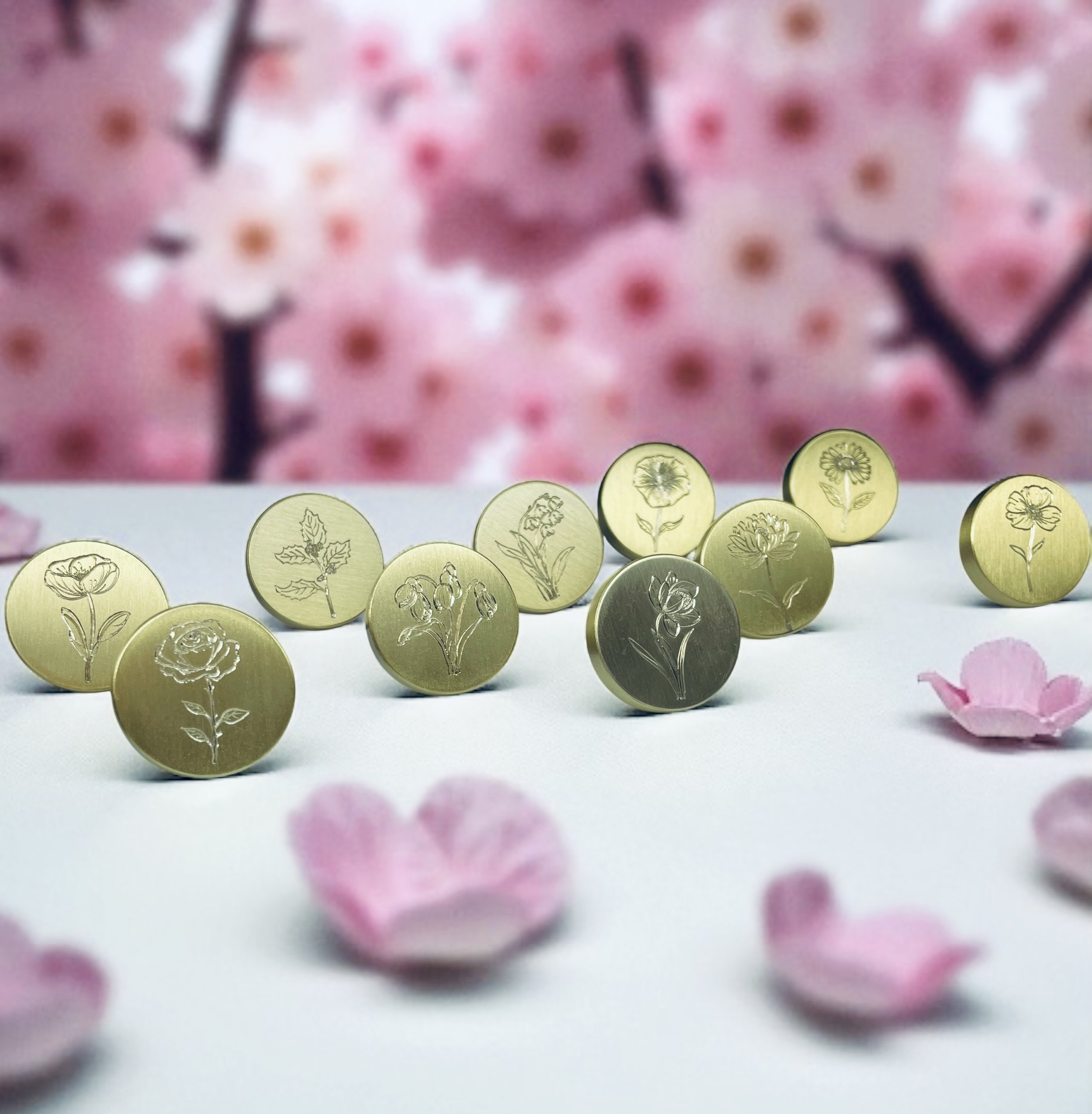 The Botanical Knobs