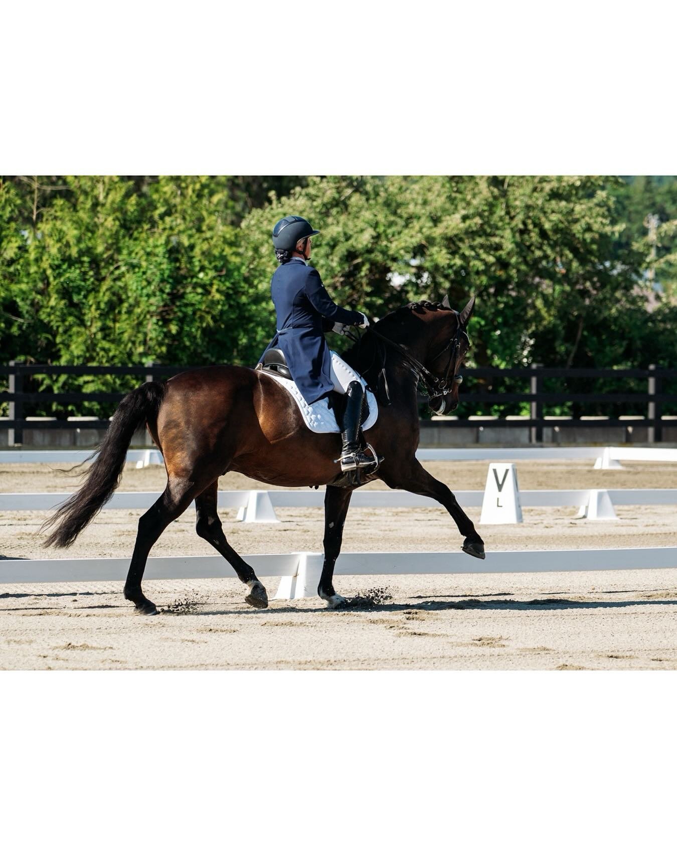 What an incredible (and hot!) weekend spent at the @diamonddressageshowseries I took A LOT of photos over the three days and I&rsquo;m busy sorting through them. Riders, stay tuned, I&rsquo;ll make an announcement when I have galleries ready. Thank y