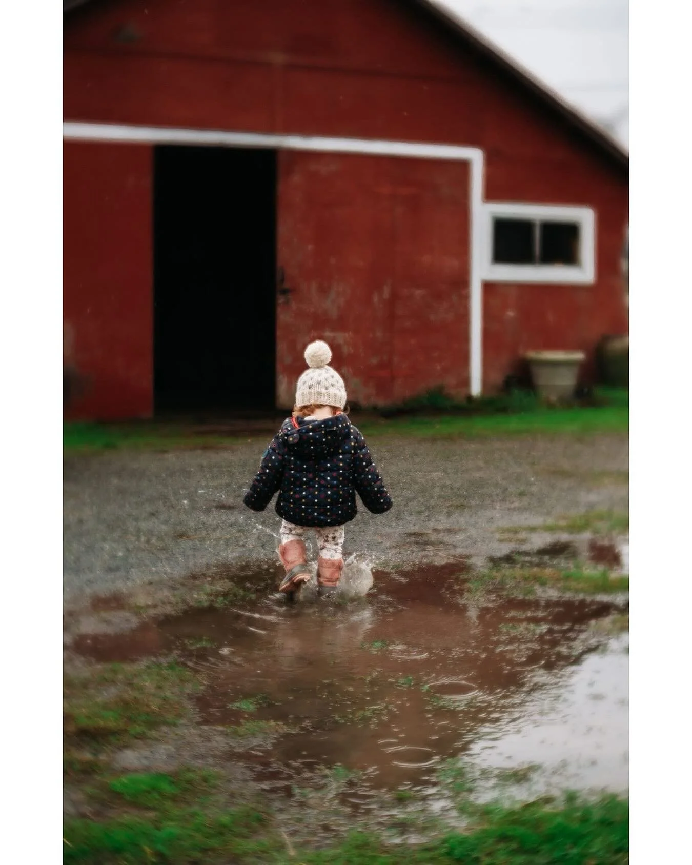 Puddle splashing at the barn last year on a day like today! 
.
.
.
#rainydays #childhoodunplugged #splishsplash #childhoodmemories #lensbaby #shootextraordinary