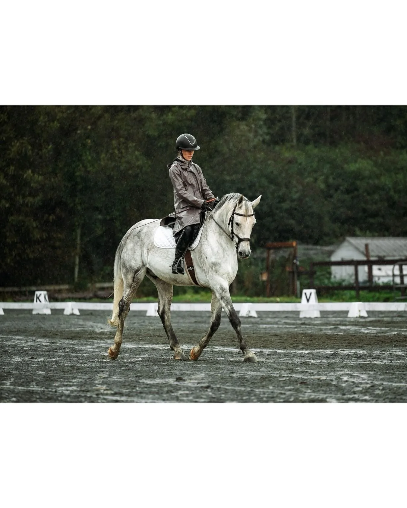 Rainy season is here...but there&rsquo;s no such thing as bad weather right?! Helps to have an amazing raincoat from @greenhawk_vancouver_island 
.
.
.
#rainyriding #dressage #greenhawkvancouverisland #getoustide #horseshowphotography #nikon