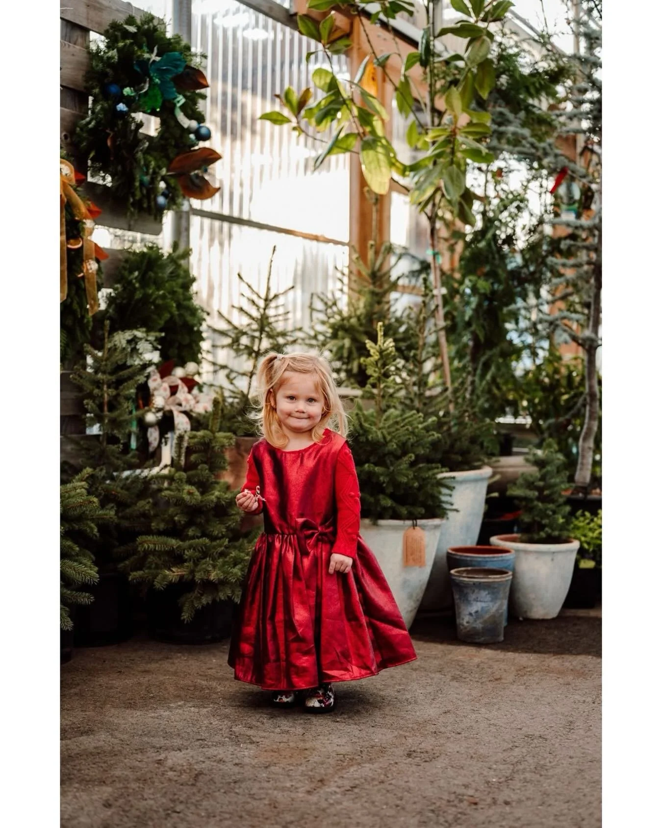 All galleries from the November 29/30th weekend sessions of holiday photos at @patiogardens  have now been sent out! If you haven&rsquo;t received yours please reach out to me or check your junk email! I&rsquo;ll be there again this coming Friday, De