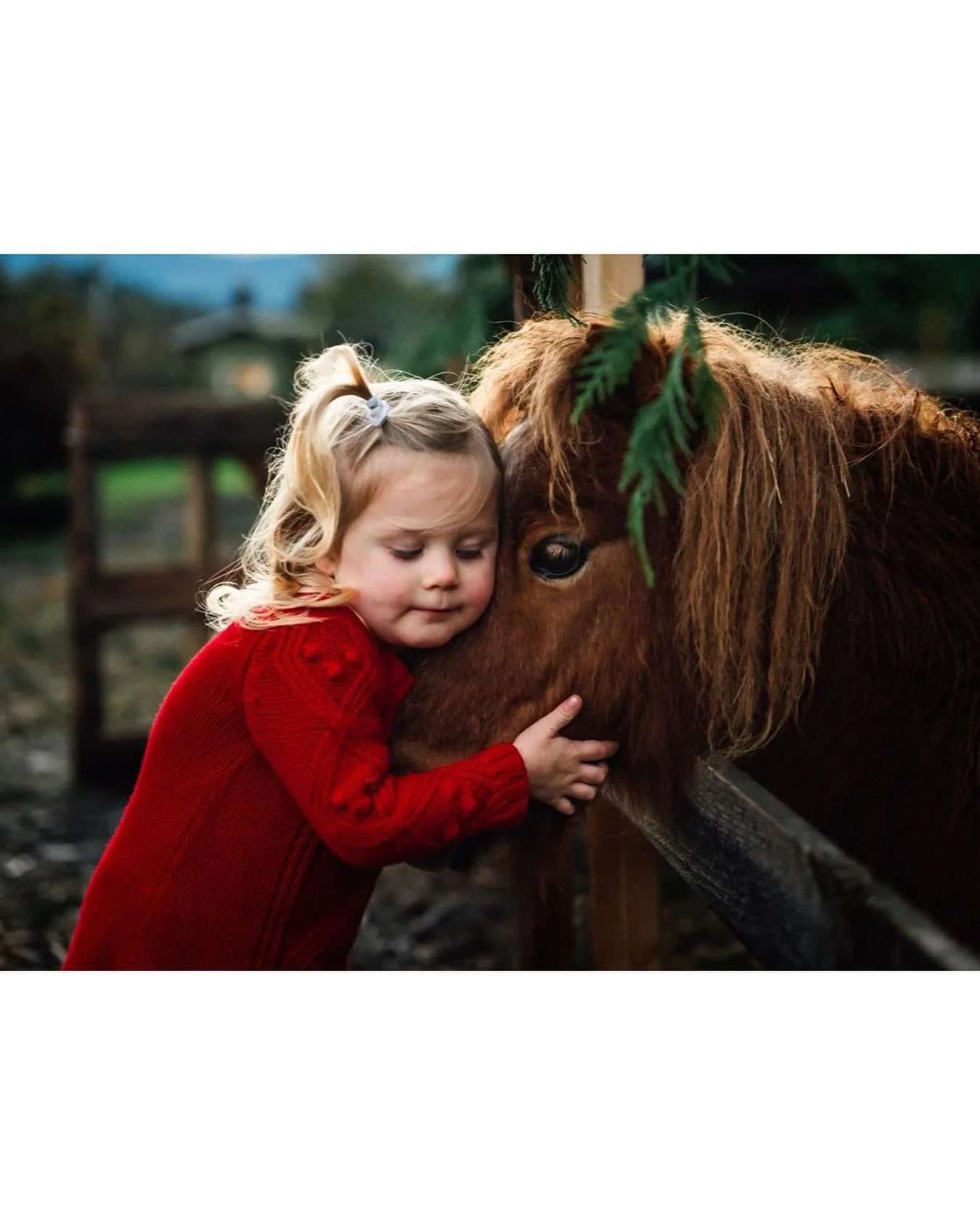 &ldquo;Mama! Me pony, Christmas?!&rdquo; 
Oh my heart. 
She spent about 20 minutes cuddling this sweet pony at my friend&rsquo;s farm (thank you @hughes8538 for sharing him!) and it was already getting so dark out but I managed to capture this in the