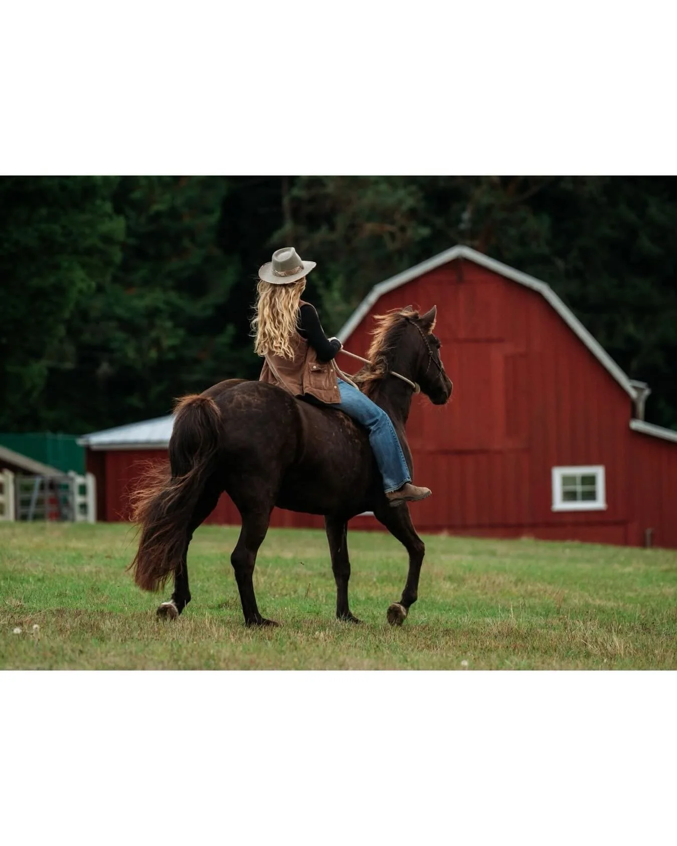 That feeling of trotting into the weekend...
.
.
.
#horses #horsegirl #cowgirl