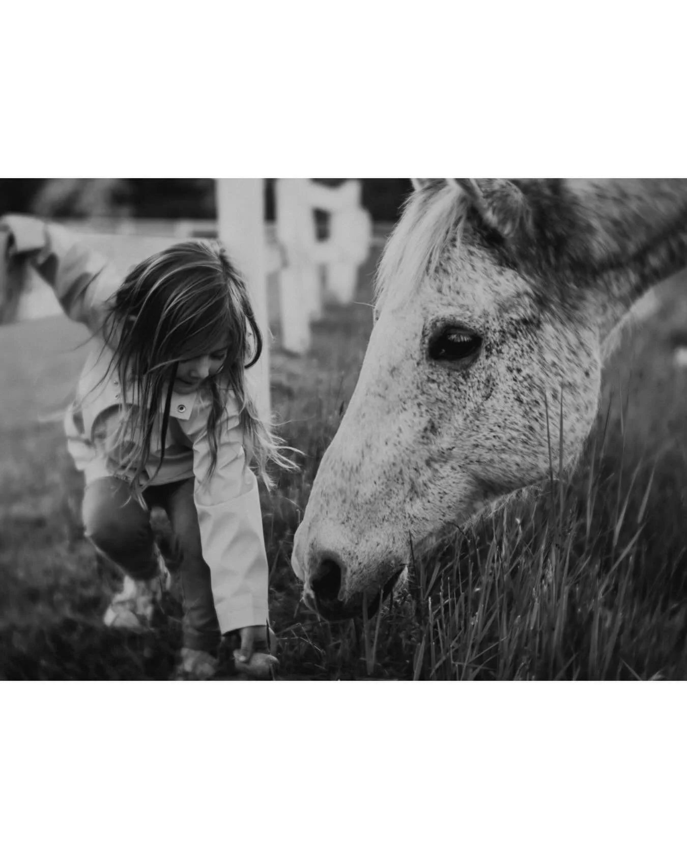Throwback to spring nights visiting and bringing treats for Zappa in the field. I took this one about a month before we had to put him down. We miss him so much. He was always such a sweetheart and so gentle with the girls. 
Photographed with my @len