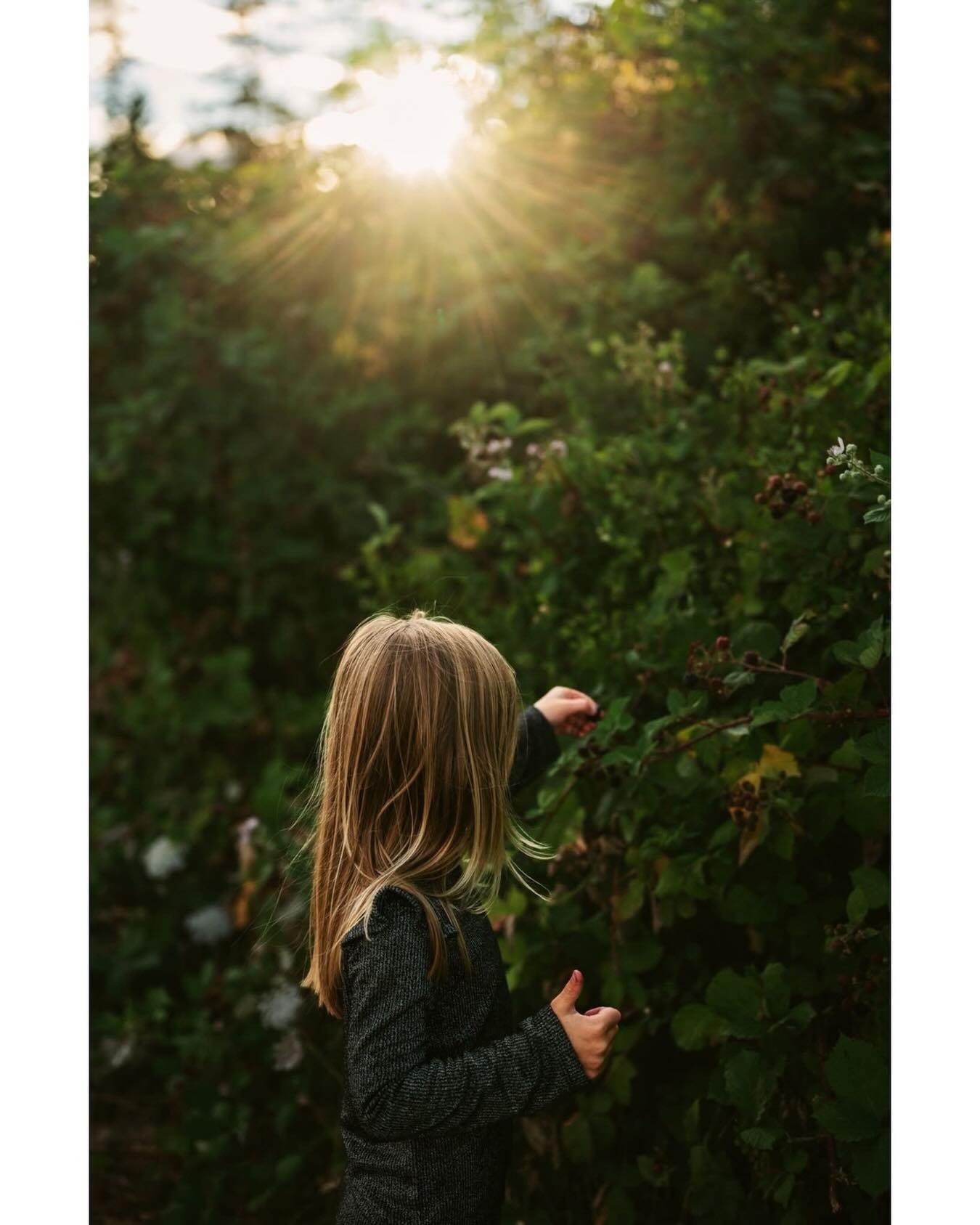 Throwback to blackberry picking in the summer time. This kid could eat her weight in blackberries! It was her favourite way to spend evenings at the farm. 
.
.
.
#throwbackthursday #summernights #clickcommunity #childhoodunplugged #childhoodmemories