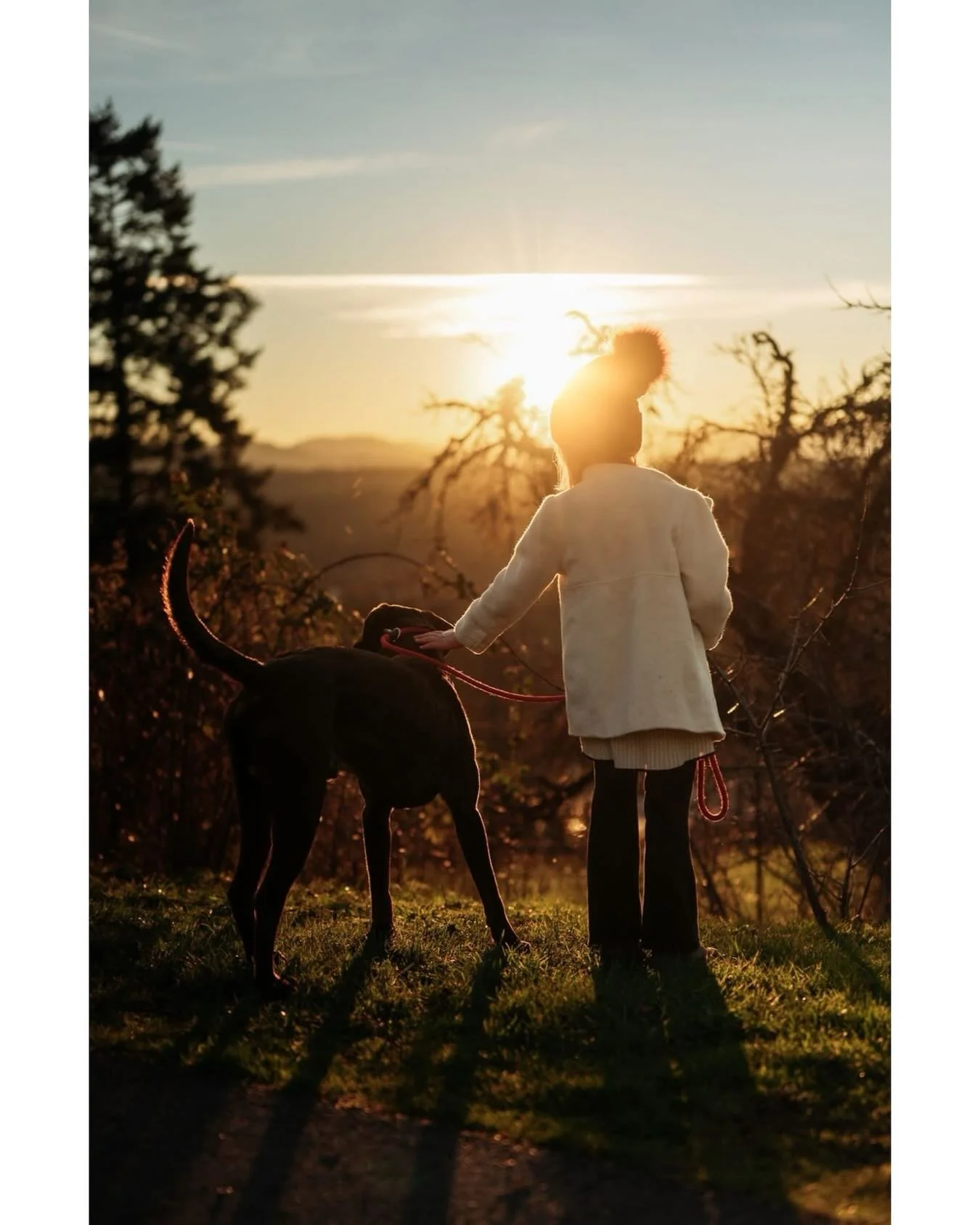 Just a girl and her dog enjoying a winter sunset ❤ I love our late afternoon walks and this winter sunshine is beyond refreshing for us all. 
.
.
.
#wintersunset #clickcommunity #getoutside #motherhoodmoments