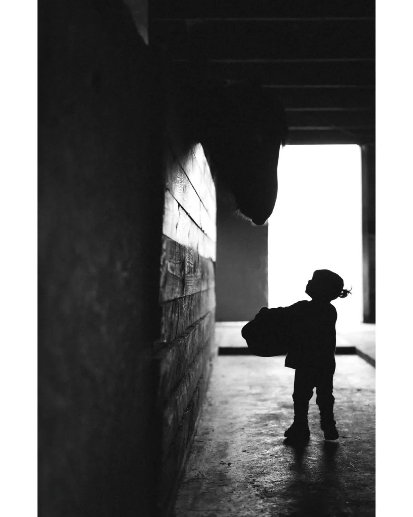 Silhouette Sunday! Reya and her horse last year ❤
