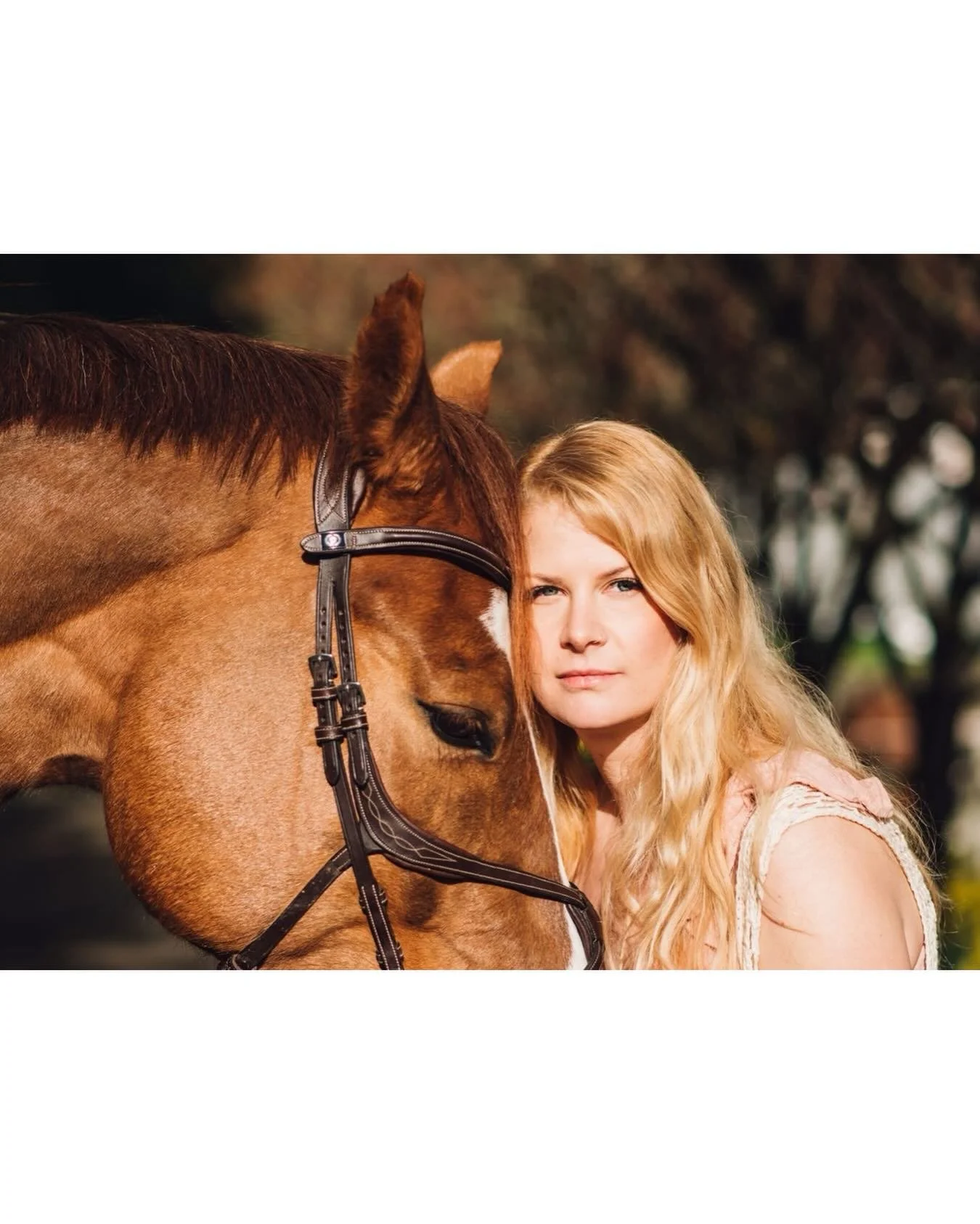Throwback to a couple years ago and this early spring session with these two beauties! 
.
.
.
#throwbackthursday #horsephotography #equine #showjumper #equineportraitsession