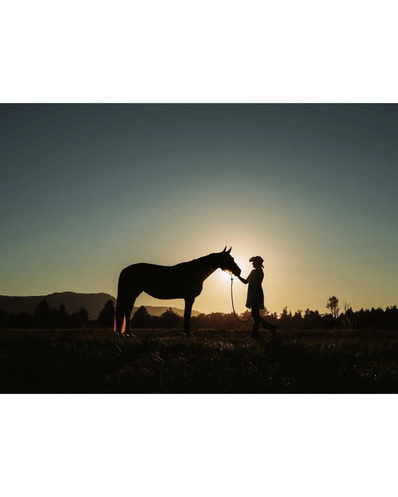 Silhouette Sunday... a throwback to summer nights!
.
.
.
#silhouette #horsepower #victoriaequinephotographer