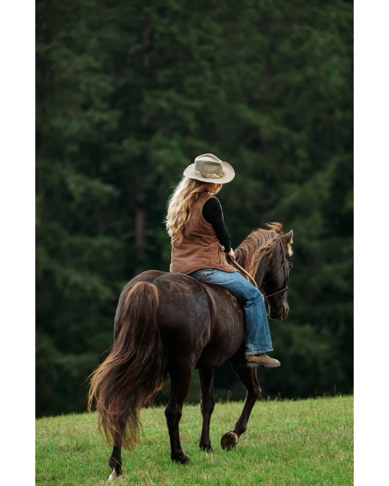 Partnership &amp; trust
.
.
.
#horsesofinstagram #horsephotography #horsegirl
