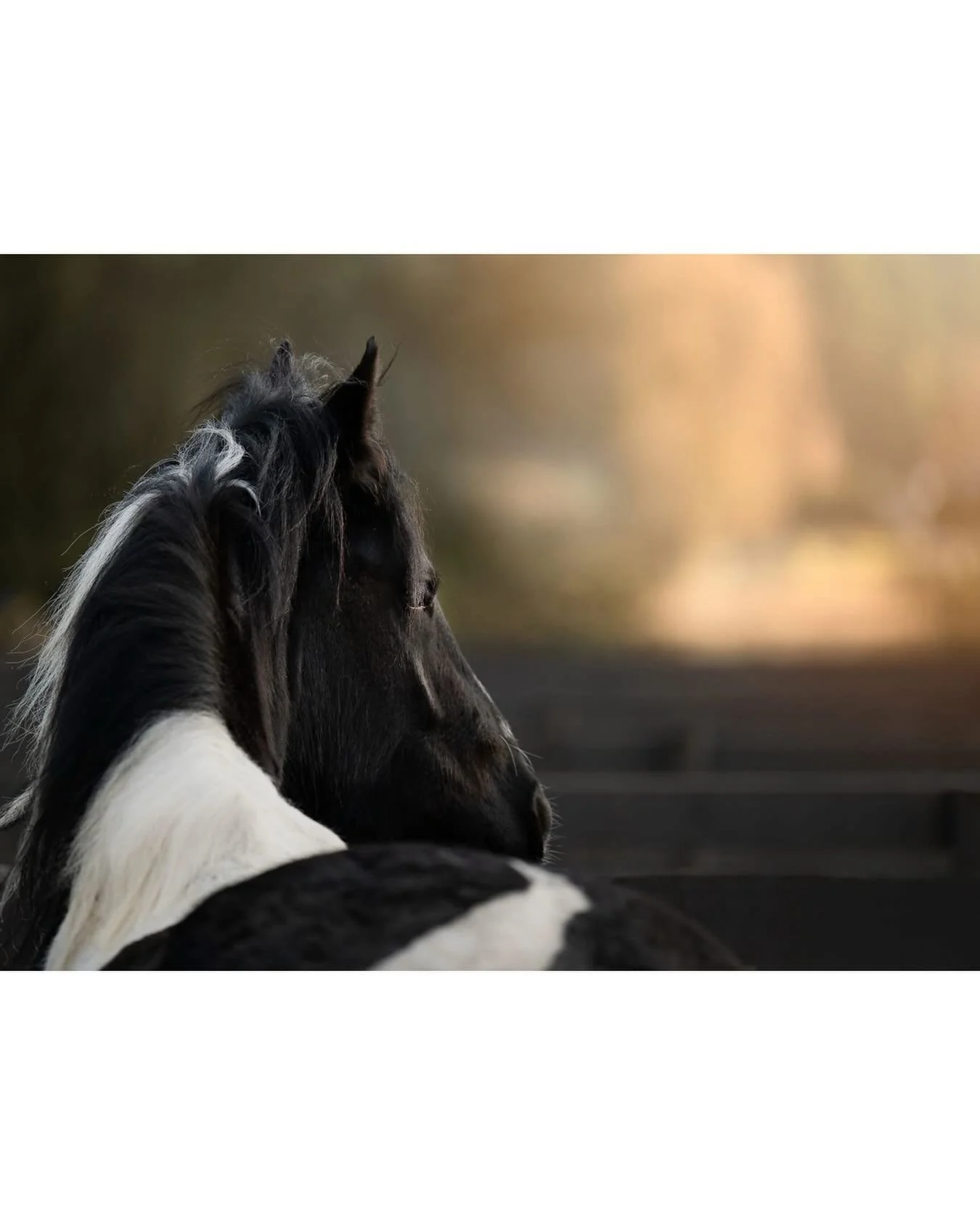 This beautiful girl is back in Victoria&mdash;it&rsquo;s been a whirlwind of a week and I&rsquo;m grateful to so many for helping make her transition back a smooth one. She&rsquo;s such a lovebug and getting to see her daily again is so special! ❤
.
