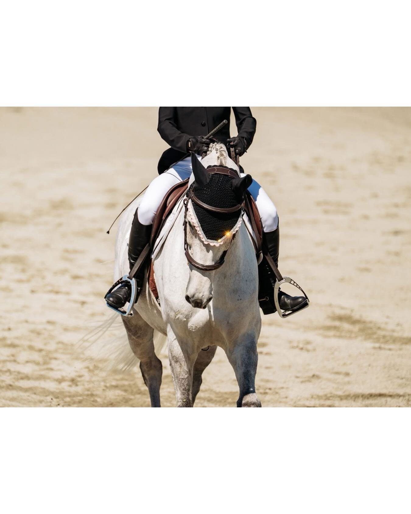 I&rsquo;m looking forward to offering photography again for the @diamonddressageshowseries ! The first show is coming up soon, April 3-5th. If you&rsquo;re interested in having your test(s) photographed please pre-book on the google form available on