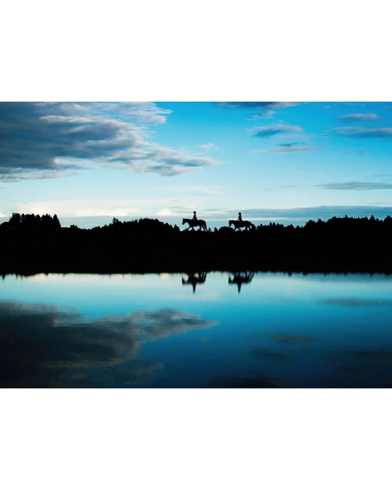 Silhouette Sunday and a throwback to this fun image photographed at @fairlawn_equestrian !
.
.
.
#silhouette #nikoncanada #equinephotographer