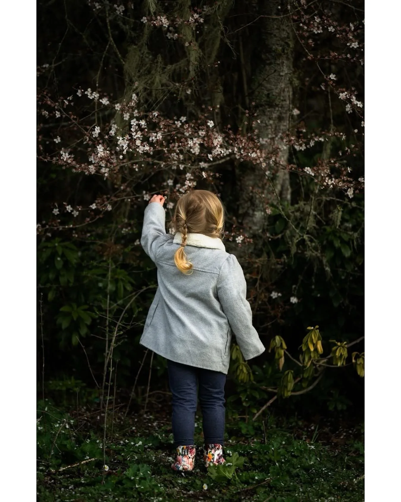 Signs of spring&mdash; here for it! 
.
.
.
#blossoms ##ChildhoodMemories #getoutside #victoriafamilyphotographer nikonphotography