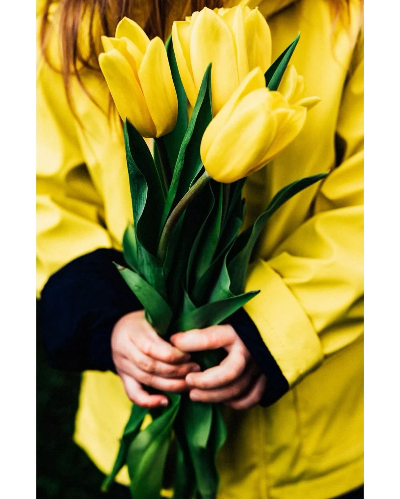 Throwback to daffodil season a few years ago. Can&rsquo;t wait to do some more spring flower photos again soon!
.
.
.
#tbt #daffodils #springtime #victoriafamilyphotographer