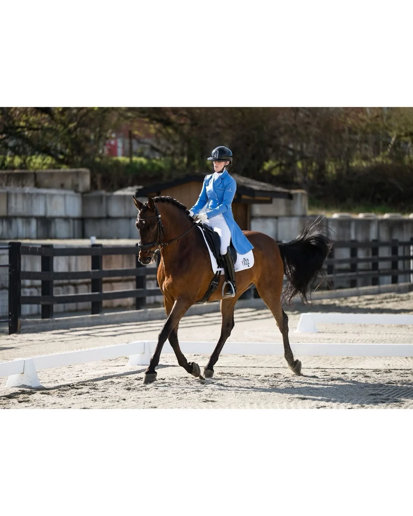 I&rsquo;m busy working away on all the galleries from the @diamonddressageshowseries ! Any guesses on how many photos I took over the course of the 3 day show?! I hope to have the galleries out to private show clients in the next couple of days and f