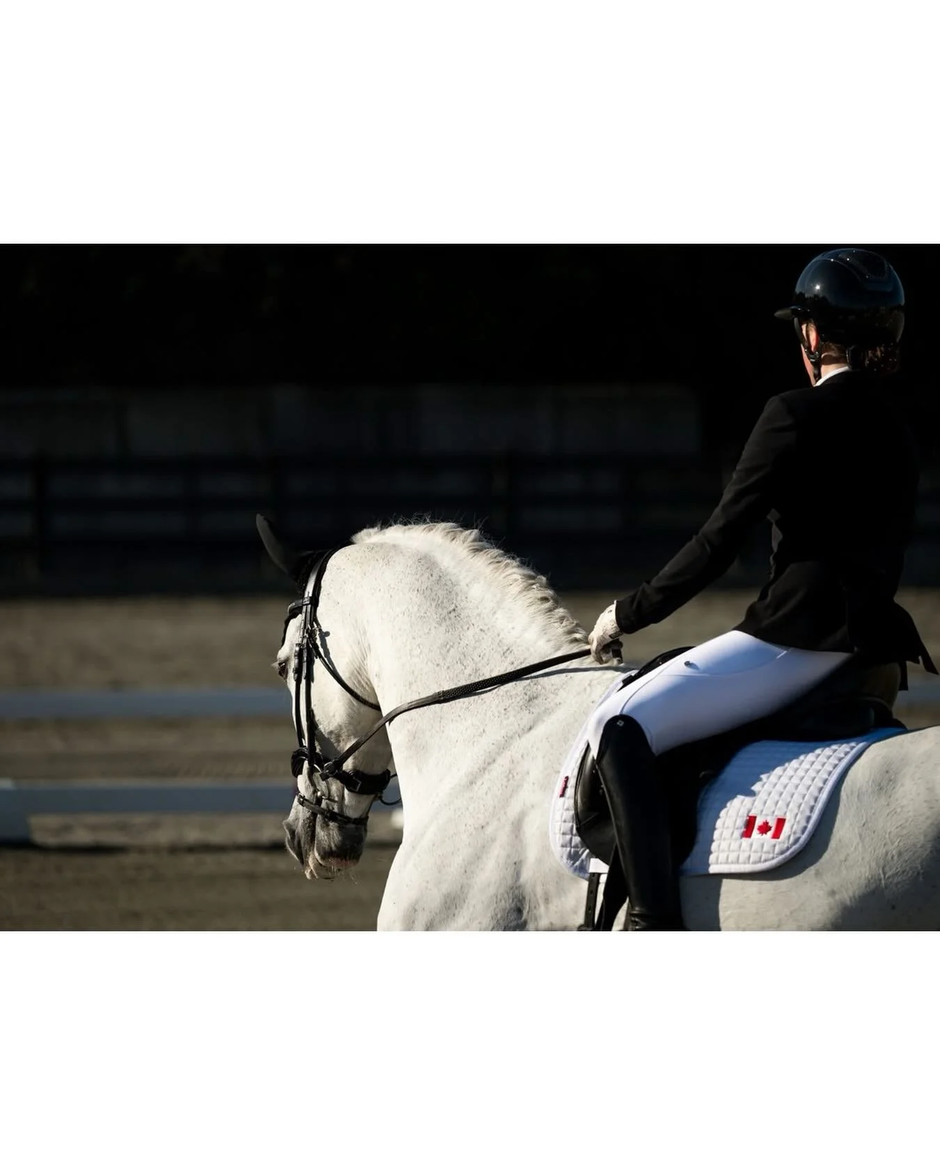 All galleries have now been sent out if you pre-booked in with me at the @diamonddressageshowseries ! Thank you so much for your support&mdash;it was a weekend of incredible riding at the beautiful Bonnie Brae Farm. Other rider galleries will be live