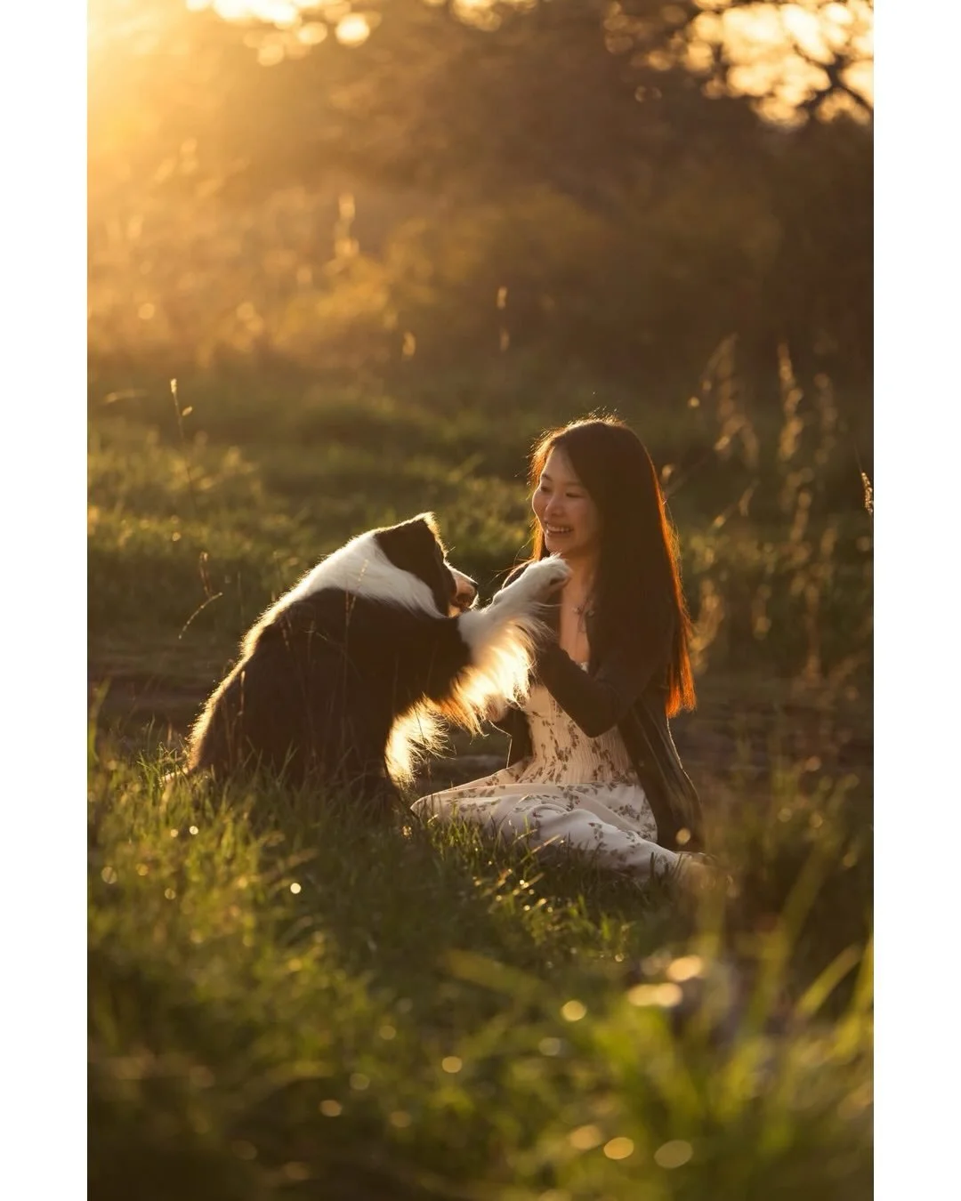 We were treated to such a gorgeous night for this spring session! It has been so lovely getting to document these two over the past couple of years! They share such a special bond. 
.
.
.
#victoriadogphotographer #dogdays #petphotography #bordercolli