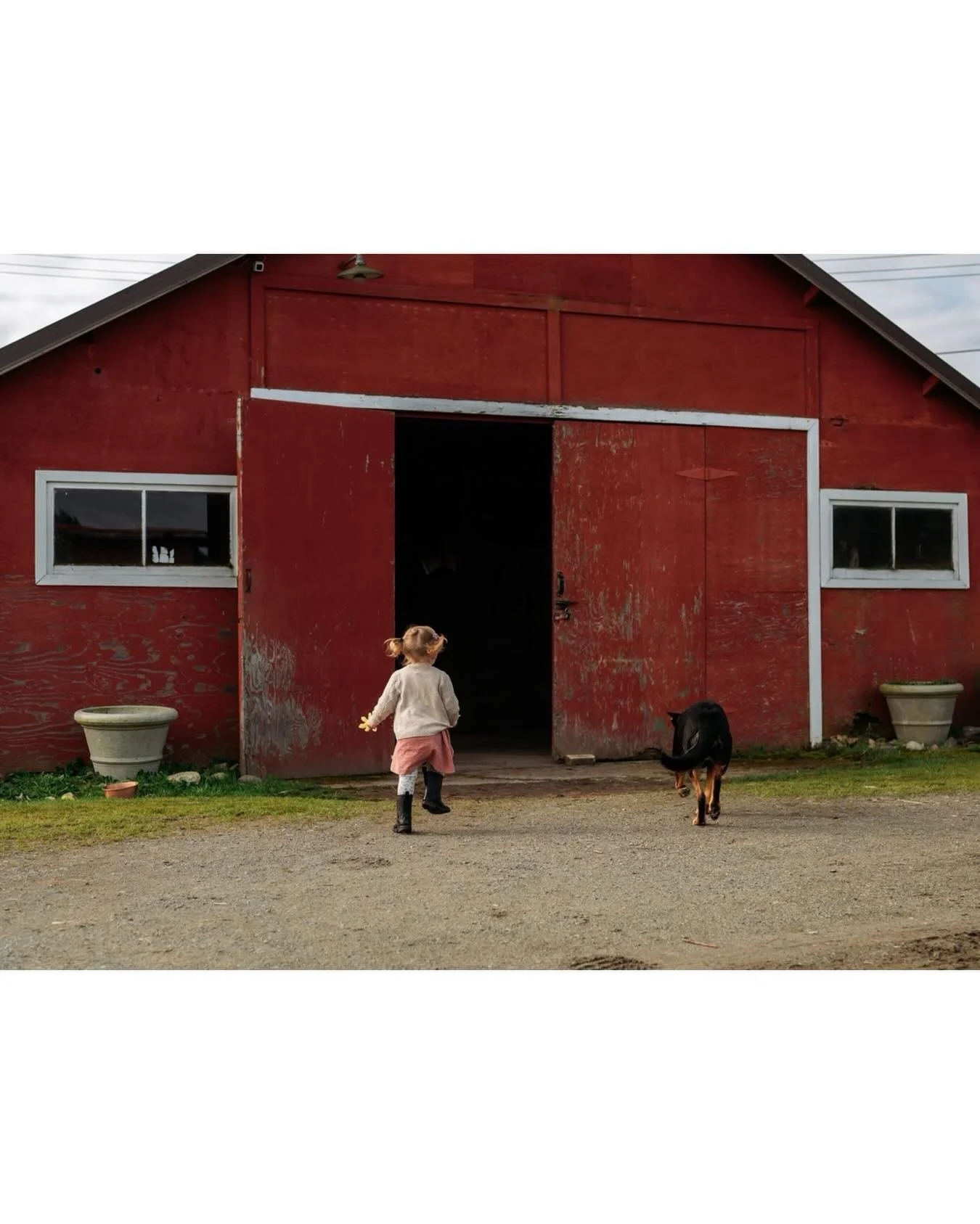 Happy Monday! Racing into the week like these two!