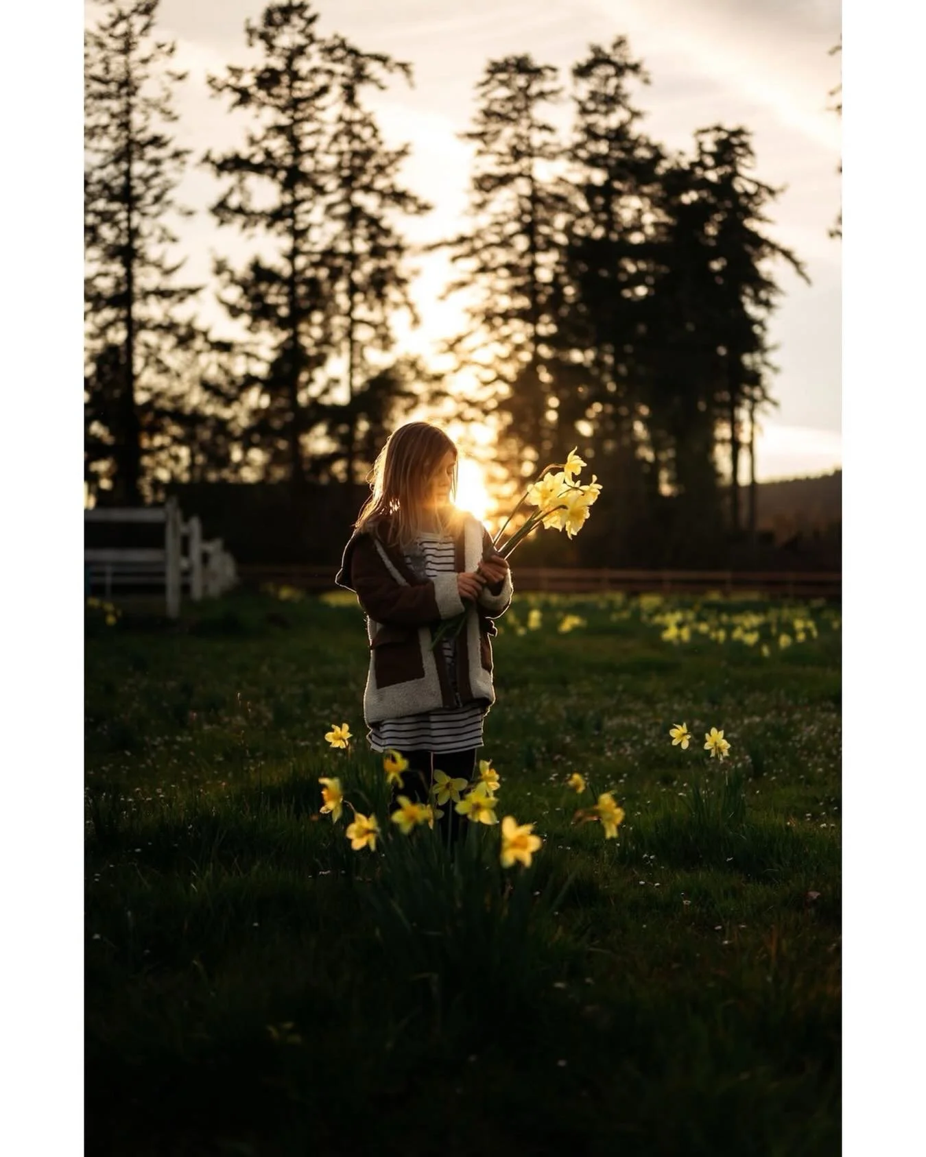 &ldquo;In the spring, at the end of the day, you should smell like dirt.&rdquo; &mdash;Margaret Atwood. Happy Earth Day! Here&rsquo;s one of some evening magic in the daffodil field last month. These spring evenings, even the rainy ones, have been fi