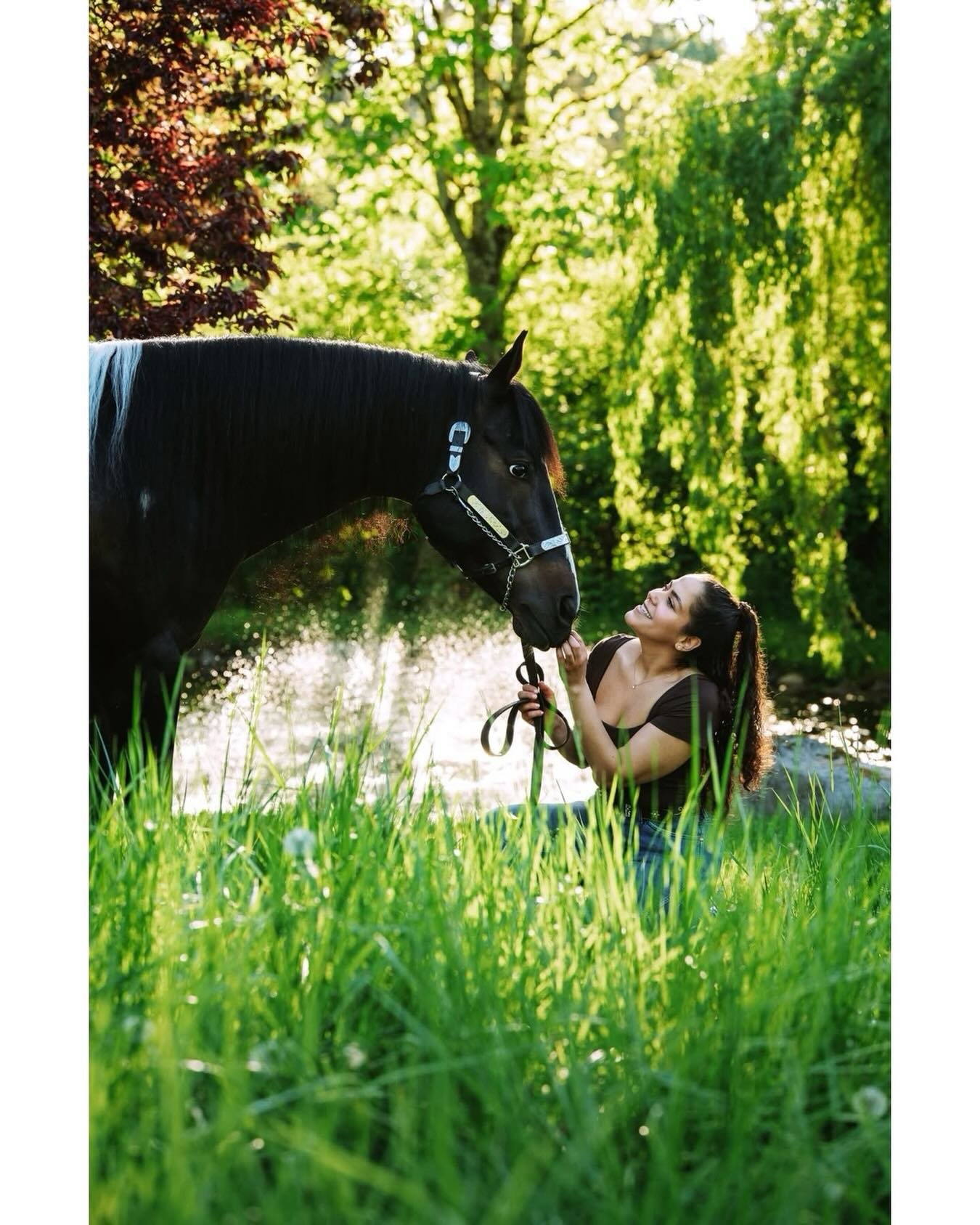 I&rsquo;ve been so busy these past couple of weeks&mdash;lots of new work to share soon but in the meantime here&rsquo;s one of these two on a recent evening at sunset sharing a special moment!