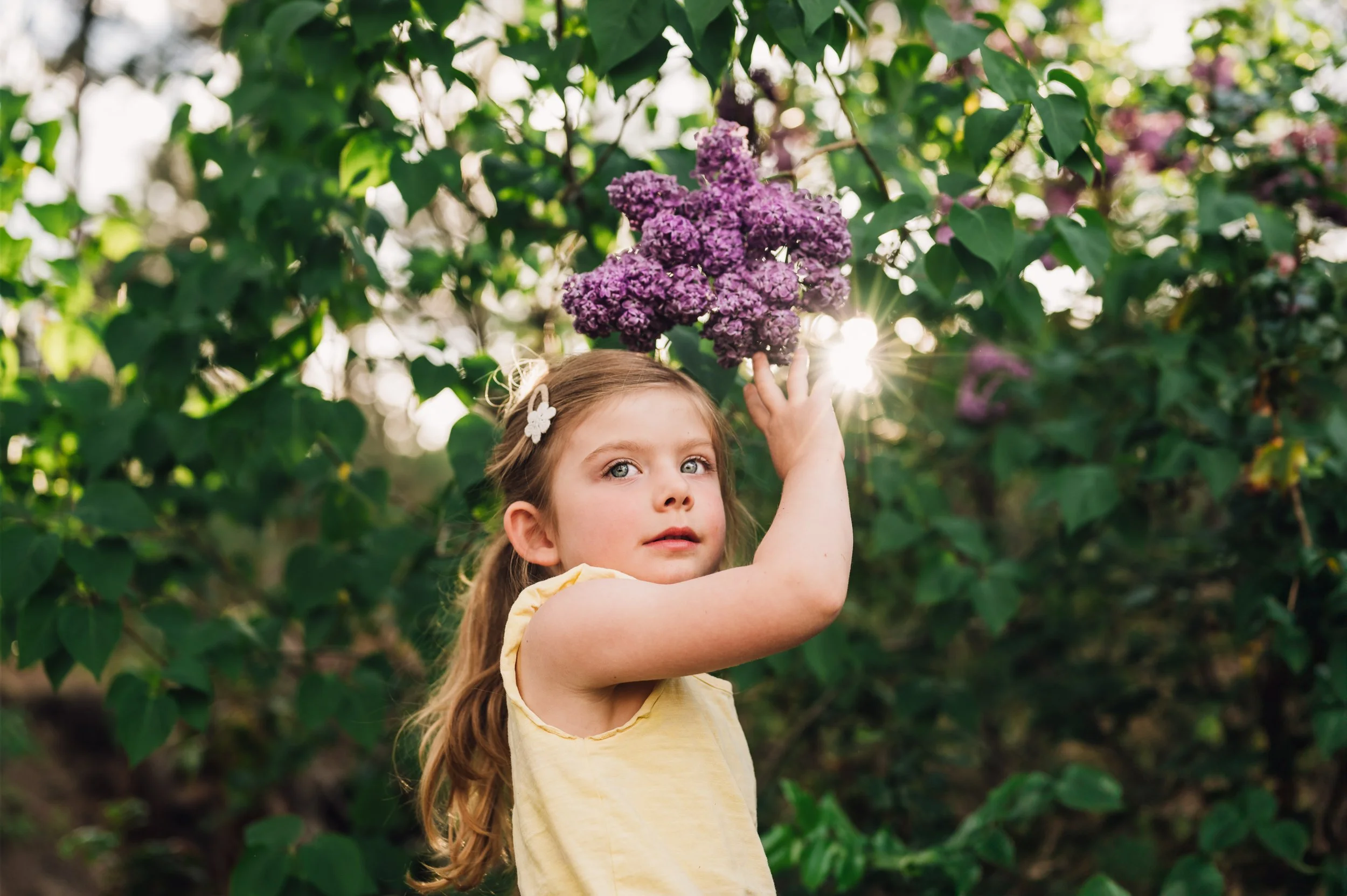 River in the lilacs-1.JPG