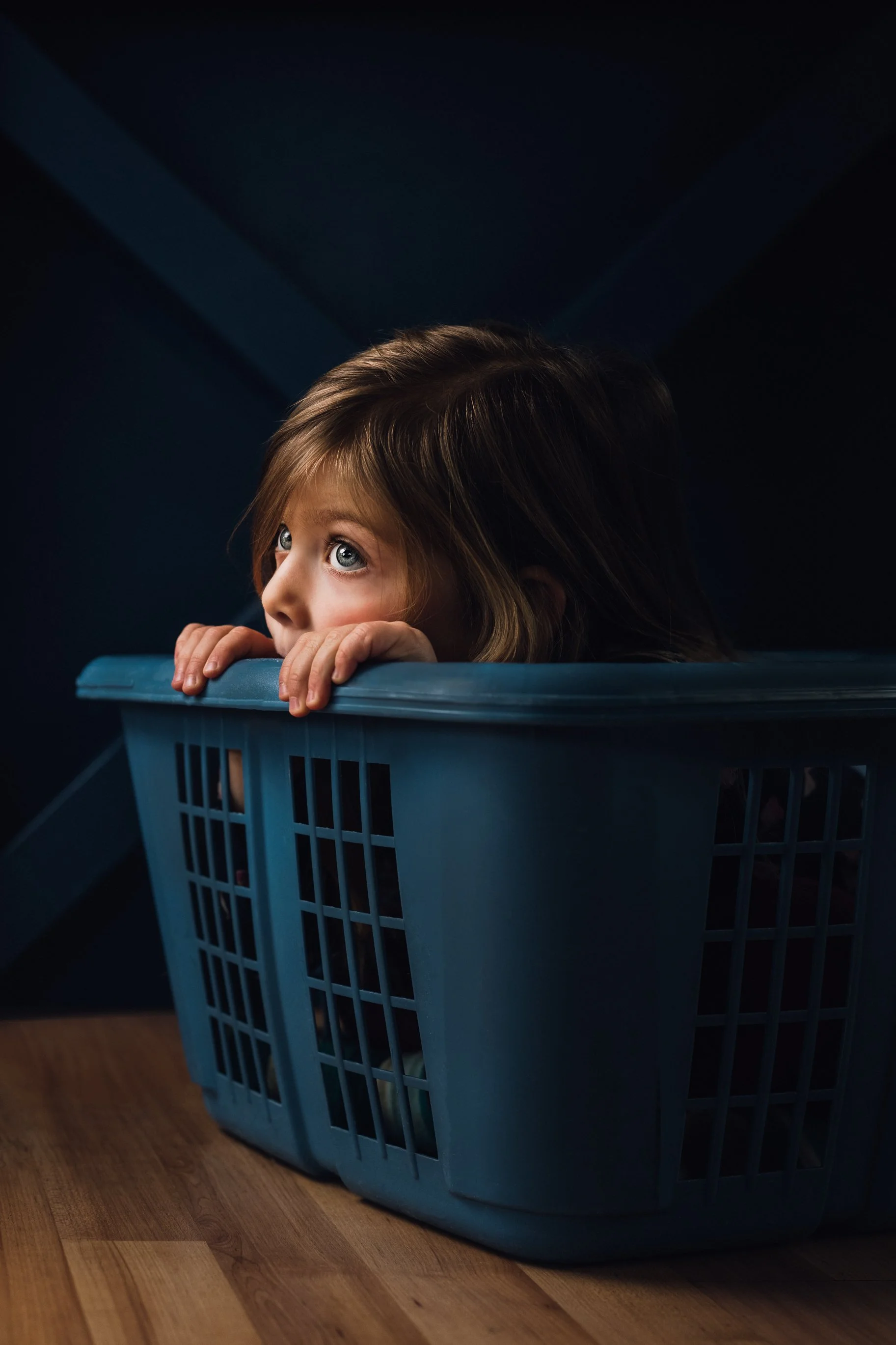 Laundry Basket kitten-1.jpg
