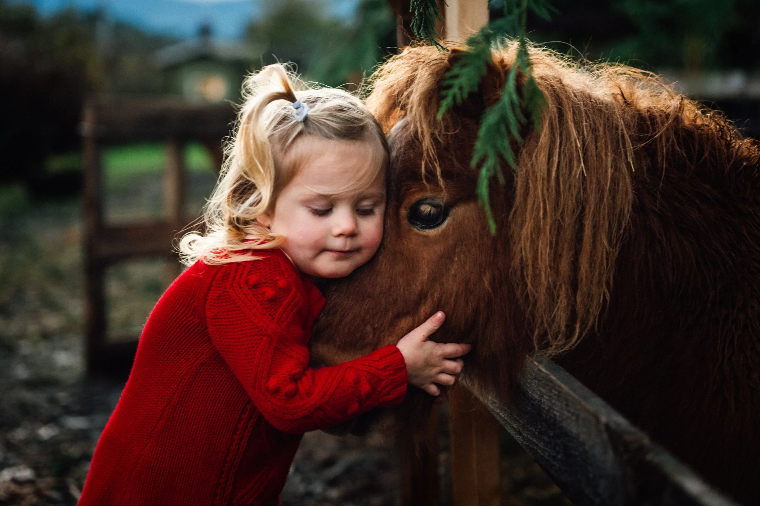 A girl and her pony-1.JPG