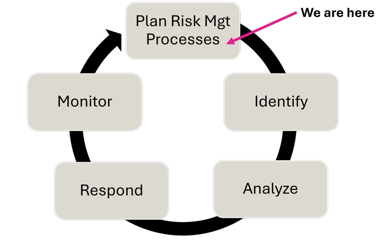 How to write a Risk, Issue and Opportunity Management Plan — Narwhal PMC