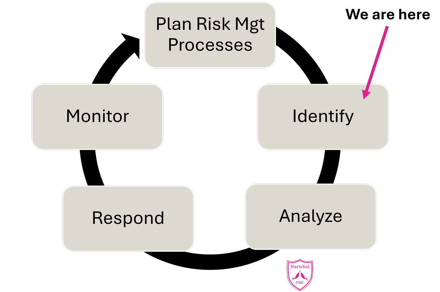 Using Software Risk Identification Don’t Let that Jaguar Get You: How to Identify Program Risks — Narwhal PMC
