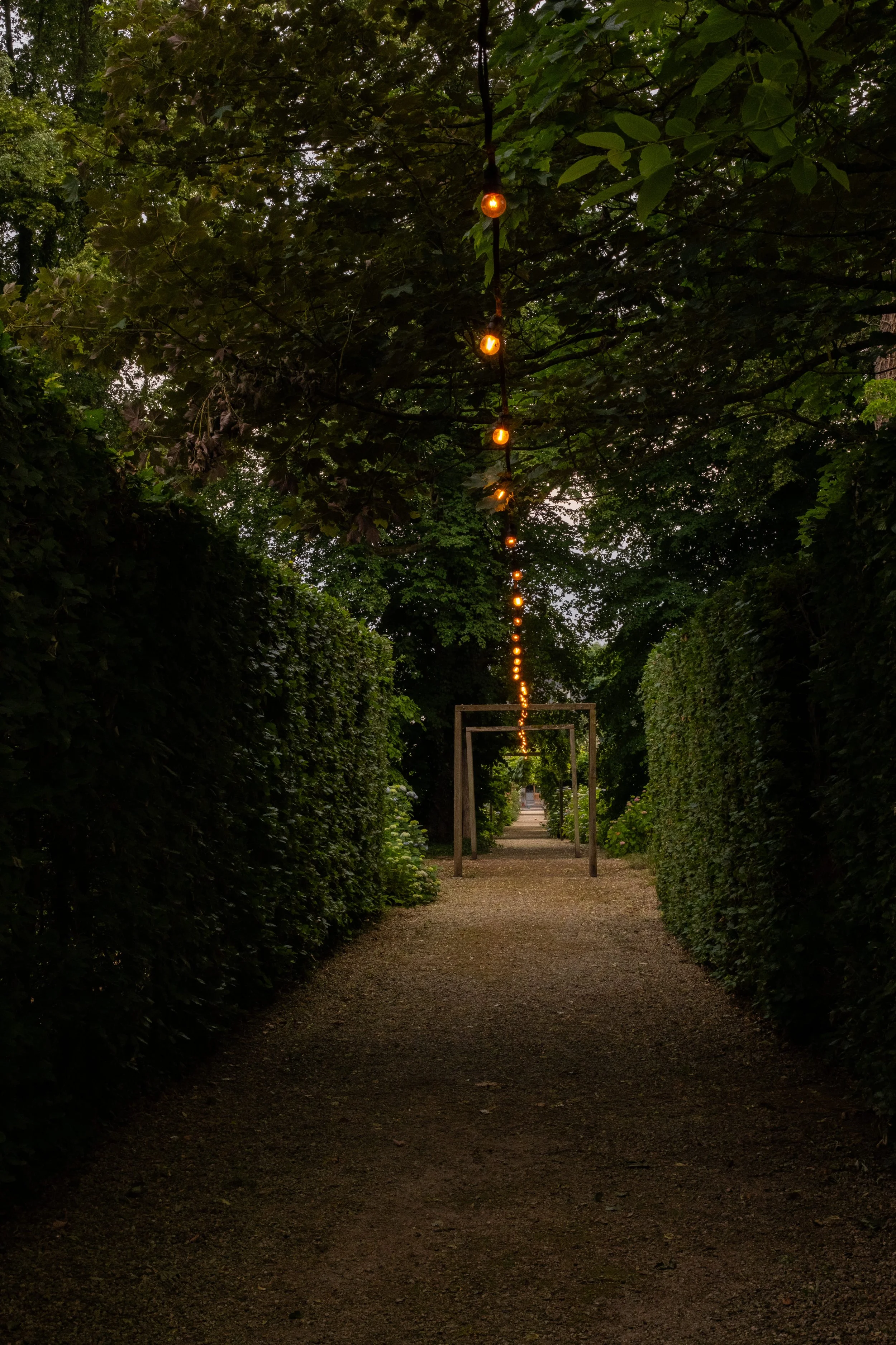 DSCF1453.jpg