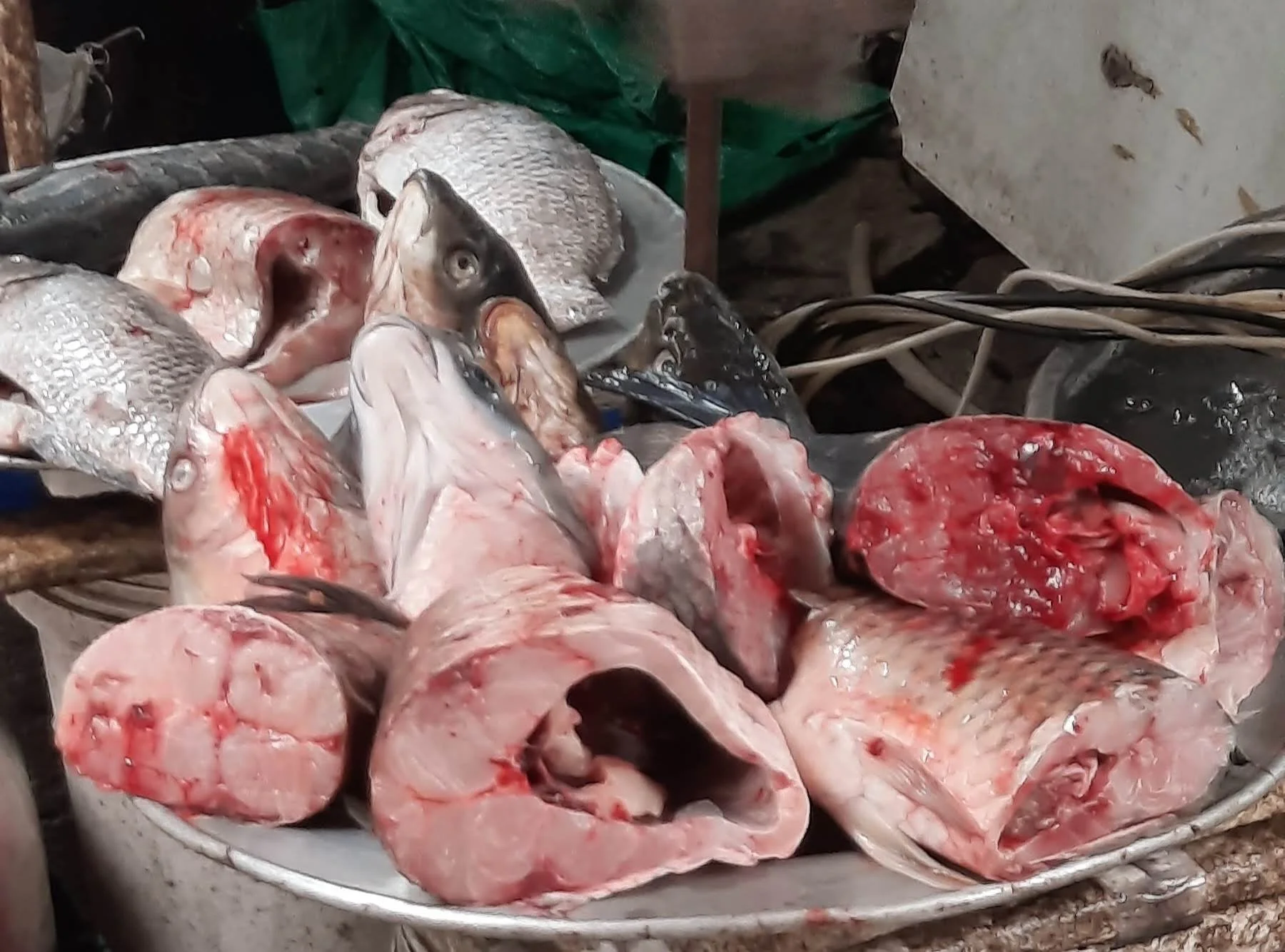 36 20251031_101958(1).jpg