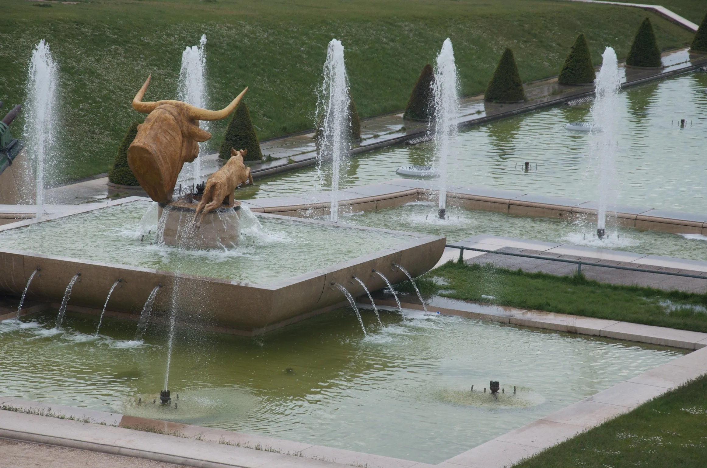 66 DSC_3692.jpg